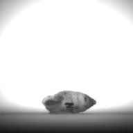 幅：0.9 (cm)×奥行：2.1 (cm)×高さ：1.0 (cm)／4 (g)，撮影・計測日：1995-07-21