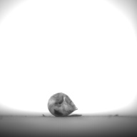 幅：0.9 (cm)×奥行：2.0 (cm)×高さ：1.0 (cm)／4 (g)，撮影・計測日：1995-07-21