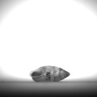 幅：0.9 (cm)×奥行：2.0 (cm)×高さ：1.0 (cm)／4 (g)，撮影・計測日：1995-07-21