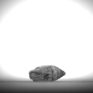 幅：0.9 (cm)×奥行：2.0 (cm)×高さ：1.0 (cm)／4 (g)，撮影・計測日：1995-07-21
