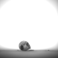 幅：0.9 (cm)×奥行：2.0 (cm)×高さ：1.0 (cm)／3 (g)，撮影・計測日：1995-07-21