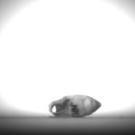 幅：0.9 (cm)×奥行：2.0 (cm)×高さ：1.0 (cm)／3 (g)，撮影・計測日：1995-07-21