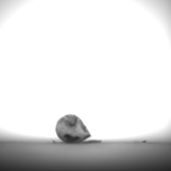 幅：0.9 (cm)×奥行：1.9 (cm)×高さ：1.0 (cm)／4 (g)，撮影・計測日：1995-07-21