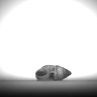 幅：0.9 (cm)×奥行：1.9 (cm)×高さ：1.0 (cm)／4 (g)，撮影・計測日：1995-07-21
