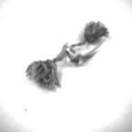 幅：4.4 (cm)×奥行：15 (cm)×高さ：2.0 (cm)／5 (g)，撮影・計測日：1995-07-27