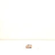 幅：1.8 (cm)×奥行：33 (cm)×高さ：1.4 (cm)／184 (g)，撮影・計測日：1995-07-07