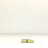幅：1.3 (cm)×奥行：21 (cm)×高さ：1.5 (cm)／129 (g)，撮影・計測日：1995-07-07