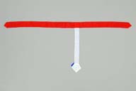 横：221 (cm)×縦：88 (cm)／50 (g)，撮影・計測日：2009-05-22