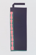 横：40 (cm)×縦：97 (cm)／364 (g)，撮影・計測日：2006-02-16