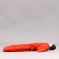 幅：46 (cm)×奥行：51 (cm)×高さ：8.5 (cm)／496 (g)，撮影・計測日：2005-12-05