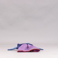 幅：37 (cm)×奥行：49 (cm)×高さ：8.3 (cm)／321 (g)，撮影・計測日：2005-12-05