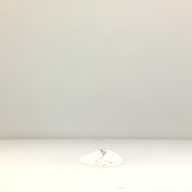 幅：5.9 (cm)×奥行：48 (cm)×高さ：6.0 (cm)／246 (g)，撮影・計測日：1995-09-27