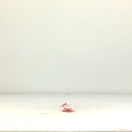 幅：2.5 (cm)×奥行：39 (cm)×高さ：2.7 (cm)／64 (g)，撮影・計測日：1995-10-19