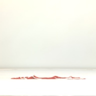 幅：2.5 (cm)×奥行：39 (cm)×高さ：2.7 (cm)／64 (g)，撮影・計測日：1995-10-19