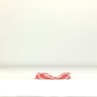 幅：2.4 (cm)×奥行：11 (cm)×高さ：2.0 (cm)／16 (g)，撮影・計測日：1995-10-19