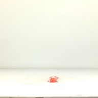 幅：4.8 (cm)×奥行：34 (cm)×高さ：3.0 (cm)／63 (g)，撮影・計測日：1995-10-19