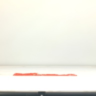幅：4.8 (cm)×奥行：34 (cm)×高さ：3.0 (cm)／63 (g)，撮影・計測日：1995-10-19