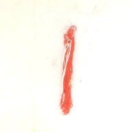 幅：4.8 (cm)×奥行：34 (cm)×高さ：3.0 (cm)／63 (g)，撮影・計測日：1995-10-19