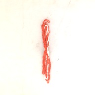 幅：5.6 (cm)×奥行：32 (cm)×高さ：2.6 (cm)／60 (g)，撮影・計測日：1995-10-19