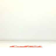 幅：5.2 (cm)×奥行：32 (cm)×高さ：3.5 (cm)／64 (g)，撮影・計測日：1995-10-19