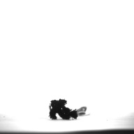 幅：4.0 (cm)×奥行：14 (cm)×高さ：2.3 (cm)／3 (g)，撮影・計測日：1995-10-18