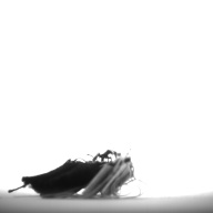 幅：2.9 (cm)×奥行：2.7 (cm)×高さ：0.7 (cm)／7 (g)，撮影・計測日：1995-10-18