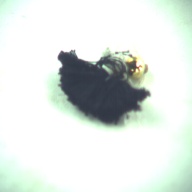 幅：3.3 (cm)×奥行：2.9 (cm)×高さ：0.7 (cm)／6 (g)，撮影・計測日：1995-10-18
