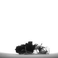幅：3.3 (cm)×奥行：2.9 (cm)×高さ：0.7 (cm)／6 (g)，撮影・計測日：1995-10-18