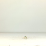 幅：0.8 (cm)×奥行：36 (cm)×高さ：0.8 (cm)／8 (g)，撮影・計測日：1995-10-19