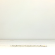 幅：0.7 (cm)×奥行：31 (cm)×高さ：0.6 (cm)／4 (g)，撮影・計測日：1995-10-19