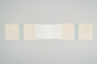 横：278 (cm)×縦：51 (cm)／183 (g)，撮影・計測日：2006-04-20