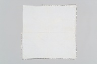横：95 (cm)×縦：95 (cm)／134 (g)，撮影・計測日：2006-04-25