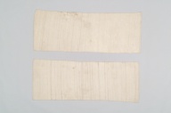 横：142 (cm)×縦：53 (cm)／1.18 (kg)，撮影・計測日：2006-04-25