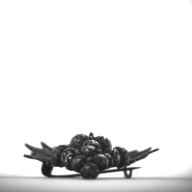 幅：1.2 (cm)×奥行：4.1 (cm)×高さ：0.9 (cm)／11 (g)，撮影・計測日：1994-04-12