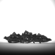 幅：4.3 (cm)×奥行：5.6 (cm)×高さ：1.4 (cm)／10 (g)，撮影・計測日：1994-04-12