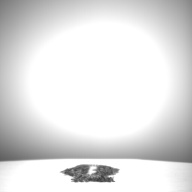 幅：5.9 (cm)×奥行：28 (cm)×高さ：0.5 (cm)／66 (g)，撮影・計測日：1995-08-30