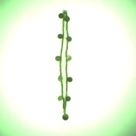 幅：1.8 (cm)×奥行：3.0 (cm)×高さ：0.3 (cm)／25 (g)，撮影・計測日：1995-08-30