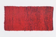 横：140 (cm)×縦：72 (cm)／1.06 (kg)，撮影・計測日：2006-04-25