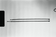 幅：2.3 (cm)×高さ：150 (cm)／23 (g)，撮影・計測日：1980-11-01<BR>幅：2.3 (cm)×高さ：163 (cm)／25 (g)，撮影・計測日：1980-11-01