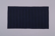 横：162 (cm)×縦：88 (cm)／560 (g)，撮影・計測日：2003-06-30