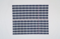 横：118 (cm)×縦：75 (cm)／883 (g)，撮影・計測日：2005-03-22