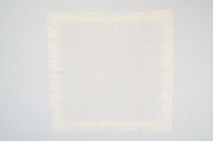 横：176 (cm)×縦：169 (cm)／141 (g)，撮影・計測日：2006-06-29