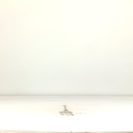 幅：6.5 (cm)×奥行：52 (cm)×高さ：3.8 (cm)／73 (g)，撮影・計測日：1995-08-25