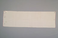 横：287 (cm)×縦：88 (cm)／465 (g)，撮影・計測日：2006-12-14