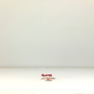 幅：9.0 (cm)×奥行：38 (cm)×高さ：1.5 (cm)／26 (g)，撮影・計測日：1995-09-11