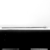 幅：10 (cm)×奥行：44 (cm)×高さ：1.3 (cm)／98 (g)，撮影・計測日：1986-06-13