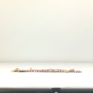 幅：12 (cm)×奥行：31 (cm)×高さ：3.4 (cm)／45 (g)，撮影・計測日：1995-09-08
