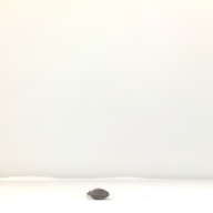 幅：3.5 (cm)×奥行：24 (cm)×高さ：1.5 (cm)／82 (g)，撮影・計測日：1994-05-25