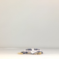 幅：16 (cm)×奥行：31 (cm)×高さ：3.2 (cm)／129 (g)，撮影・計測日：1994-05-25