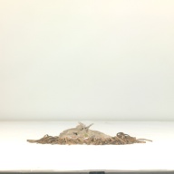幅：15 (cm)×奥行：40 (cm)×高さ：6.1 (cm)／94 (g)，撮影・計測日：1995-09-08
